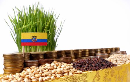 Ecuador flag waving with stack of money coins and piles of wheat and rice seedsの写真素材