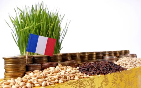 France flag waving with stack of money coins and piles of wheat and rice seedsの写真素材
