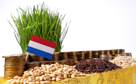 Netherlands flag waving with stack of money coins and piles of wheat and rice seedsの写真素材