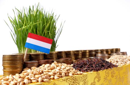 Luxembourg flag waving with stack of money coins and piles of wheat and rice seedsの写真素材