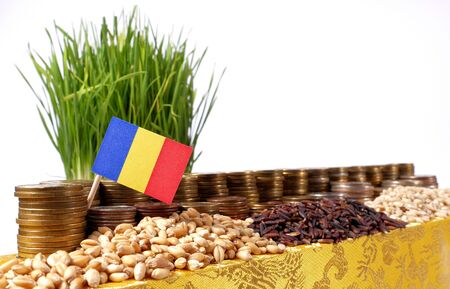 Romania flag waving with stack of money coins and piles of wheat and rice seedsの写真素材