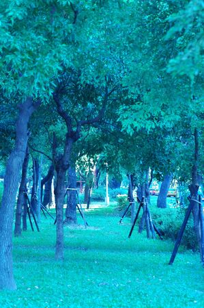 park in cityの写真素材