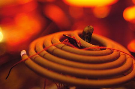 coil incenseの写真素材