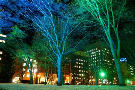 Sapporo City, Japan, December, 16th, 2009: Sapporo White Illumination at Odori Parkのeditorial素材