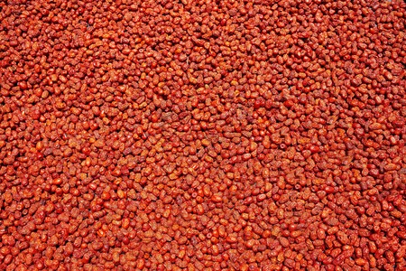 Dried jujube の写真素材