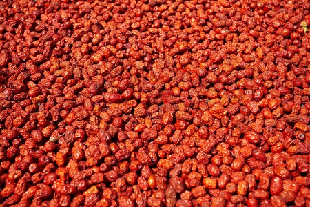 Dried jujube の写真素材