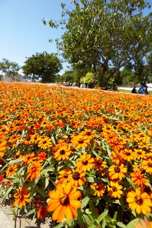 Taipei City, Taiwan, October , 12th 2010: Taipei International Flora Exposition YuanShan Park Areaのeditorial素材