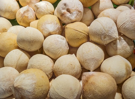 some stacked coconut without shell close up