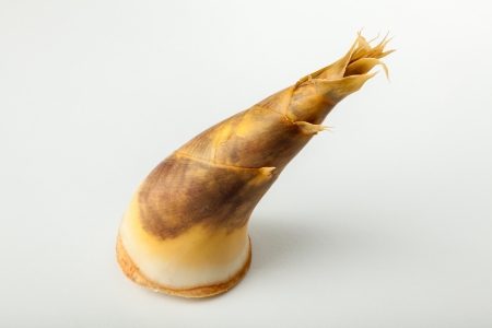 Bamboo shoot on white backgroundの写真素材