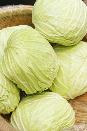 Cabbages in basket closed up
