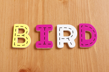 BIRD, spell by woody puzzle letters with woody backgroundの写真素材