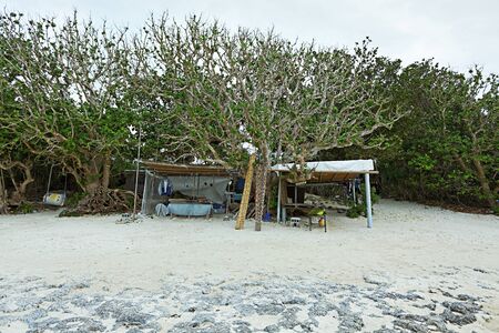 wall made by coral stones ,Ishisga, japanの写真素材