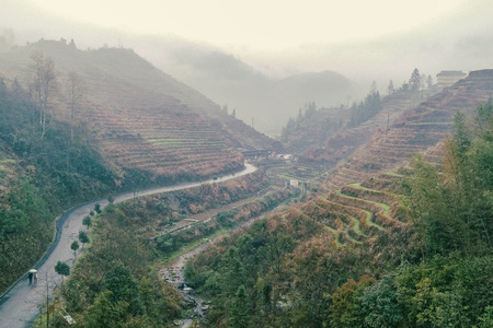 Guilin ,China, March,24th,2014, Jinkeng Terrace ,Guilin ,Chinaのeditorial素材