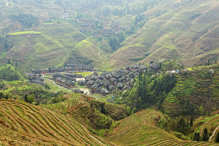 Guilin ,China, March,24th,2014, Jinkeng Terrace ,Guilin ,Chinaのeditorial素材