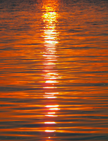 evening sunsetの写真素材