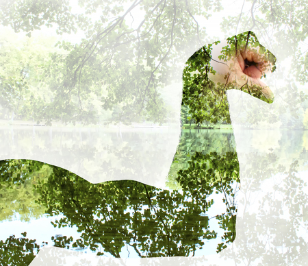 A man shows arm strength. Isolated on white.の写真素材