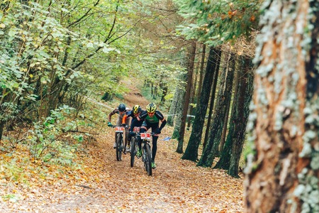 Minsk region Kryzhovka October 8, 2017 Bike ride A group of people riding bicycles in the forestのeditorial素材