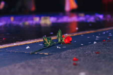Rose lies on stage in the theaterの写真素材