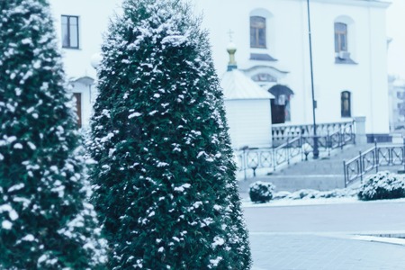 Park for snow covered in late autumnの写真素材