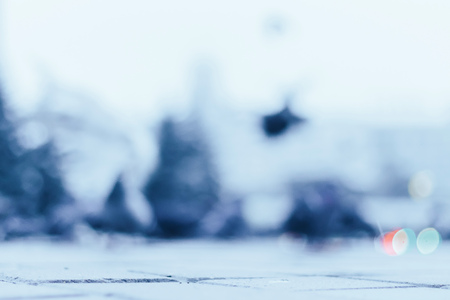 Pigeons in the park in the fall early in the morningの写真素材