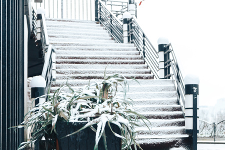 the romantic ladder going up with branches and to snowの写真素材