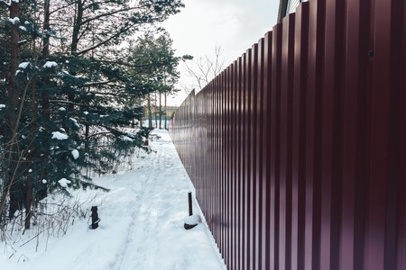 Forest trail next to the metal fenceの写真素材