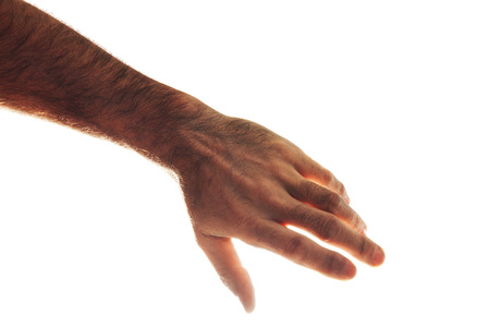 Male hand shows open palm. Isolated on white background.