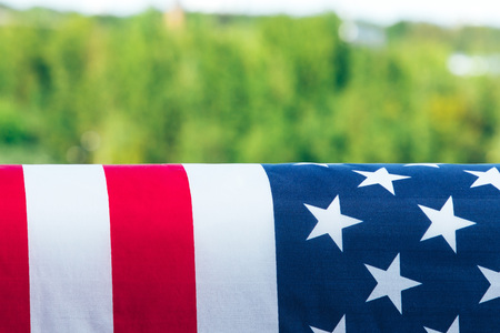 Us flag hanging in front of the forest