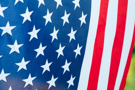 Us flag hanging in front of the forest