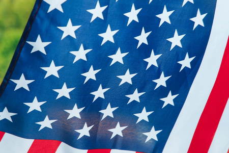 Us flag hanging in front of the forest