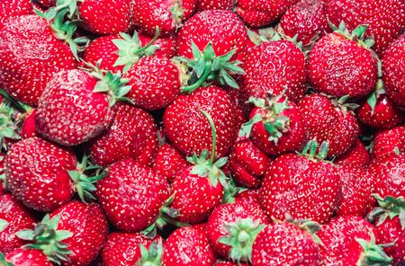 Ripe and red strawberries with green tails close-upの写真素材