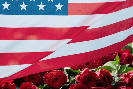 An American flag with rose behind waving in the wind.の写真素材