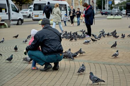 Father and child feeding pigeons on a city streetの写真素材