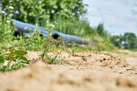 Polyethylene pressure pipes for cold water pipes with wooden struts to preserve the diameter.Close-upの写真素材