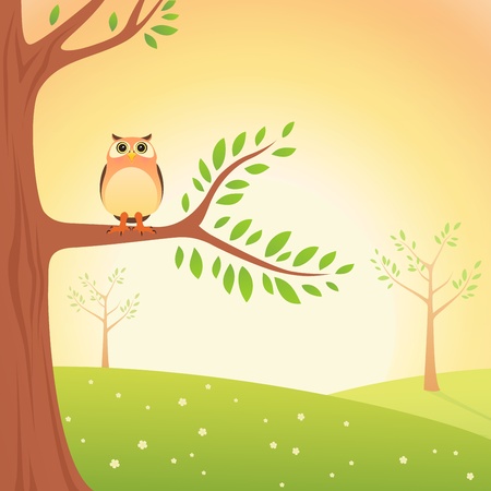 Cartoon Owl on the treeのイラスト素材