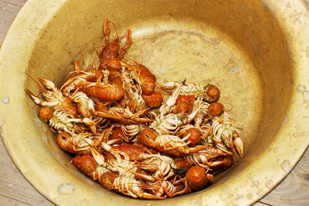 Hot boiled crawfish in a rustic old basin. Cooked cancer in the plate. Background pattern of cancer....