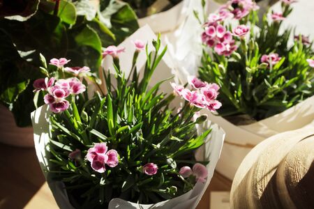 Flower arrangement. Wedding concept. Romantic gift for celebrationの写真素材