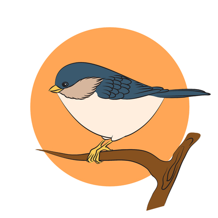 Bird titmouse. Line vector illustrationのイラスト素材