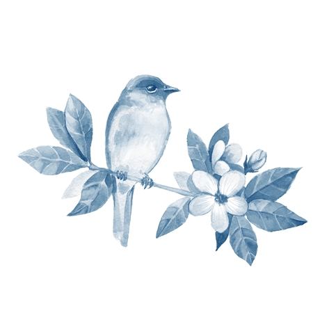 Bird on branch 1の写真素材