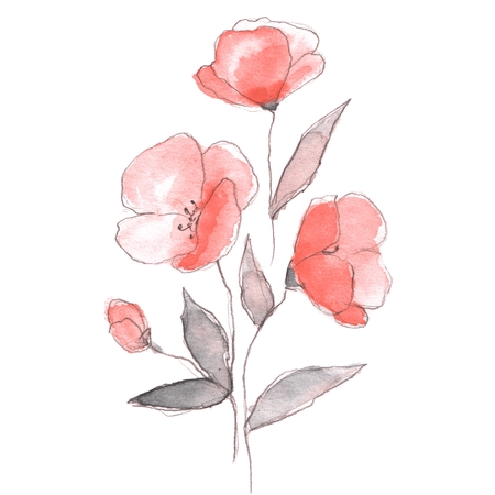 Floral sketch 1の写真素材