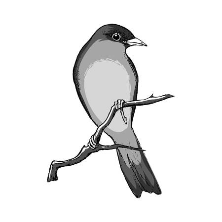 Bird on branch. Vector illustrationのイラスト素材