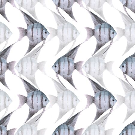 Scalare. Watercolor fish. Seamless pattern 2の写真素材