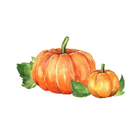 Pumpkins. Watercolor painting. Hand drawn illustrationの写真素材