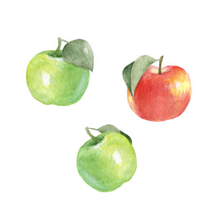 Watercolor apples, isolated on white background. Hand drawn elements for designの写真素材