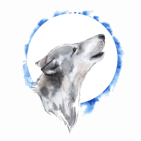 wolf and moonの写真素材