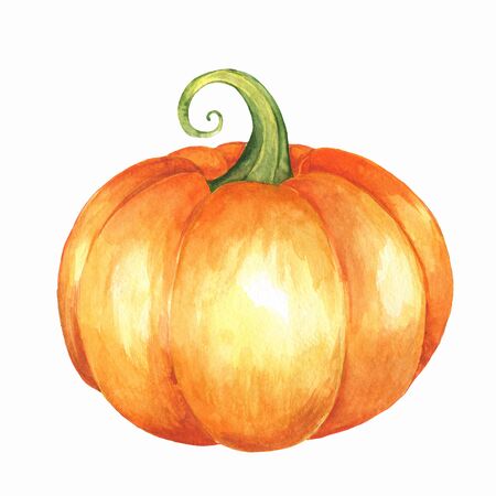Orange pumpkin. Isolated on white background. Watercolor illustrationの写真素材