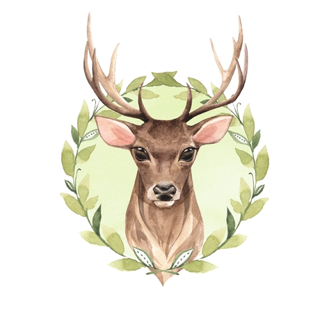 Noble deer. Watercolor illustrationの写真素材