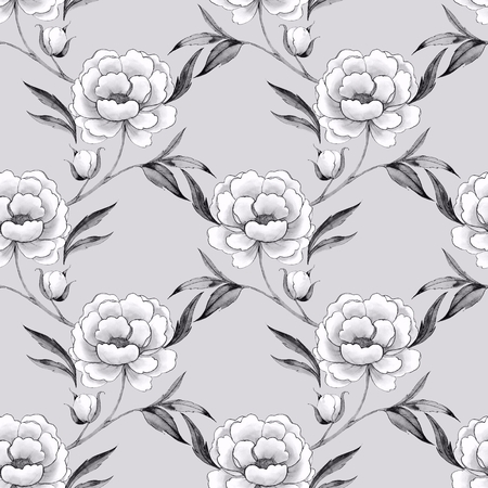 Seamless pattern with hand drawn white flowers. Line art peonyの写真素材