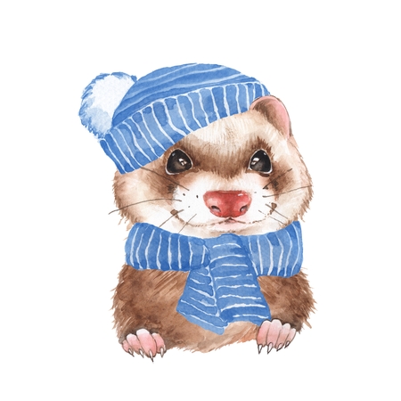 Cute ferret in hat. Watercolor illustration isolated on whiteの写真素材