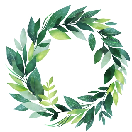Wreath with green leaves, isolated on white background. Floral round frameの写真素材